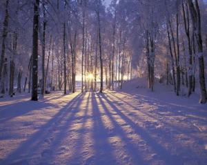 sunrise-among-snow
