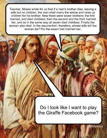 1394146_483357285112583_1050708757_n