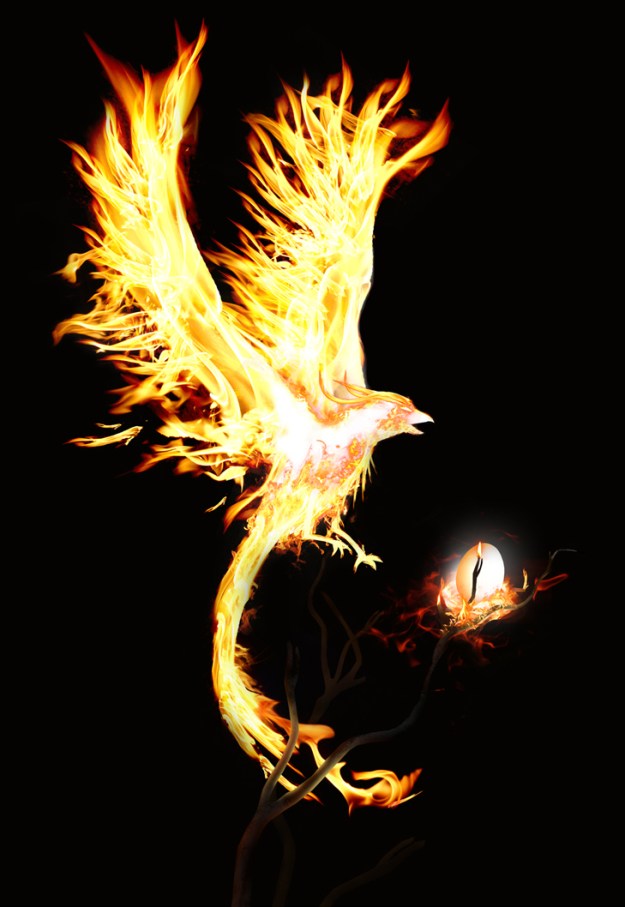 Flight of the Phoenix by shutupandwhiper@deviantart.com