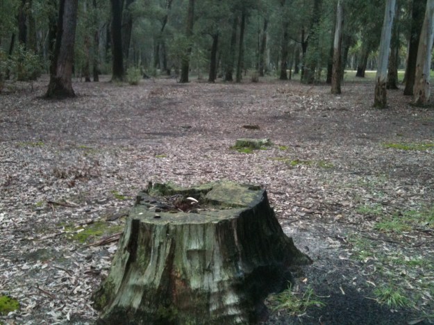 stump_by_abstractmatter-d5c3key