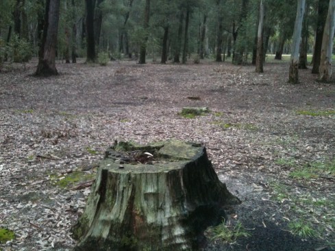 stump_by_abstractmatter-d5c3key