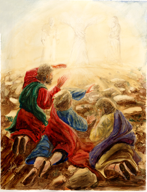 Transfiguration by artjones@deviantart.com