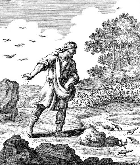 Christoph Weigel, The Sower