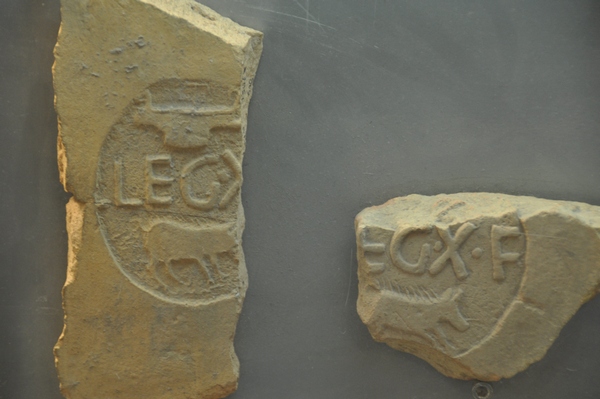 Tiles of Legion X Fretensis showing a Pig as a part of their emblem